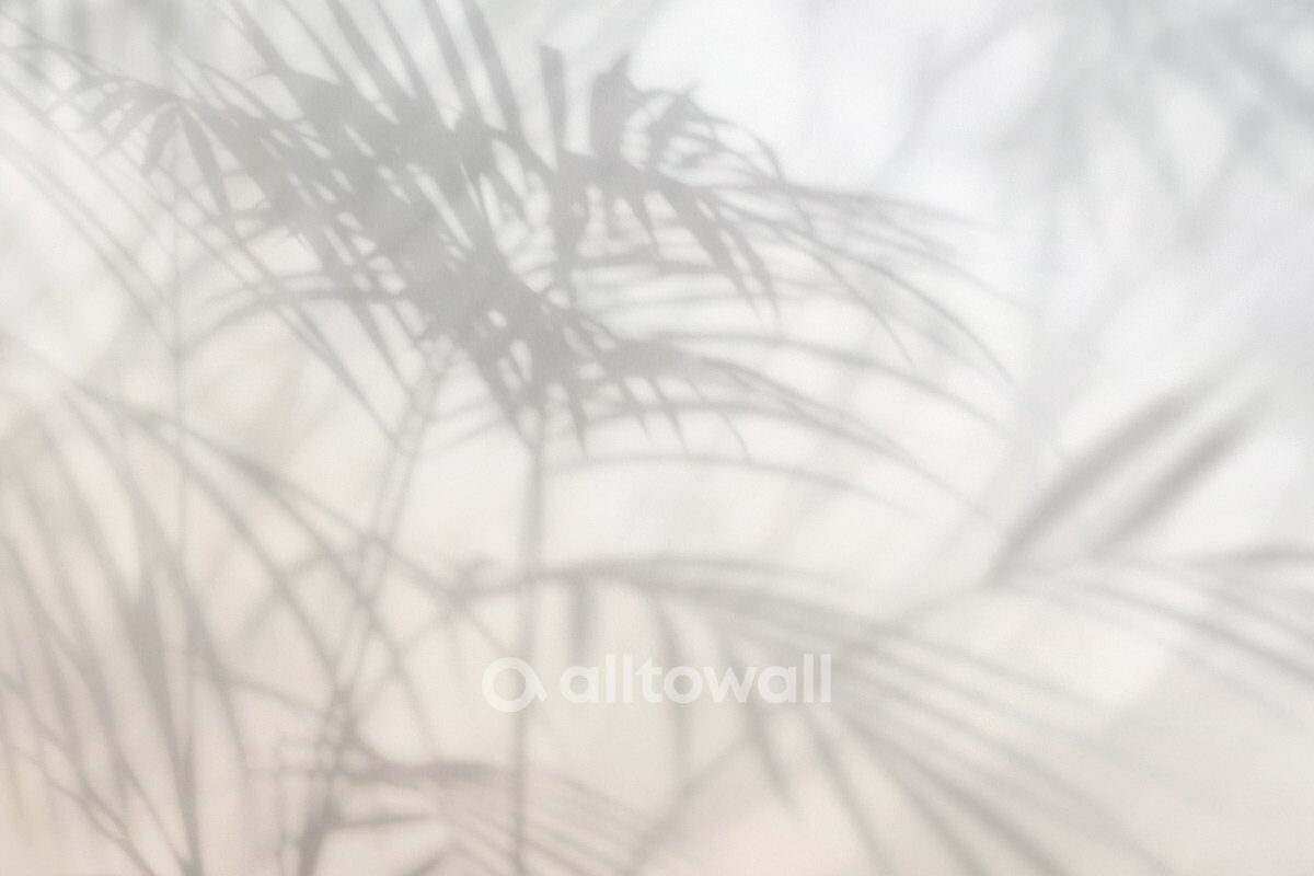 Фотообои Shadows Hovea