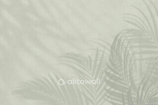 Фотообои Shadows Palm