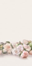 Фотообои OFA1048-COL5